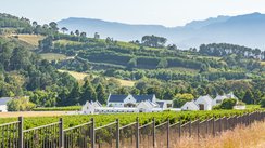Weite Weinberge erstrecken sich unter einem klaren Himmel, umgeben von sanften Hügeln und malerischen weißen Gebäuden.