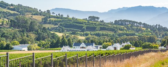 Weite Weinberge erstrecken sich unter einem klaren Himmel, umgeben von sanften Hügeln und malerischen weißen Gebäuden.
